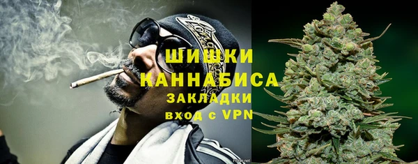 твердый Абаза