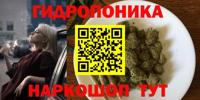 амф Краснознаменск