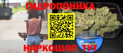 амф Краснознаменск