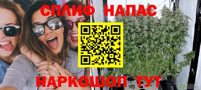шишки Краснодар