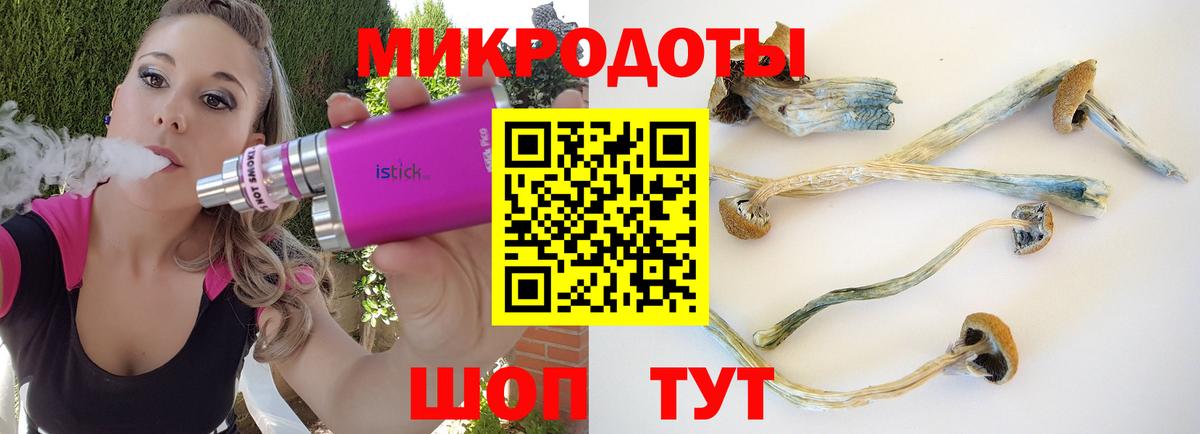 Галлюциногенные грибы MAGIC MUSHROOMS  магазин продажи   Костомукша  Вход с VPN 