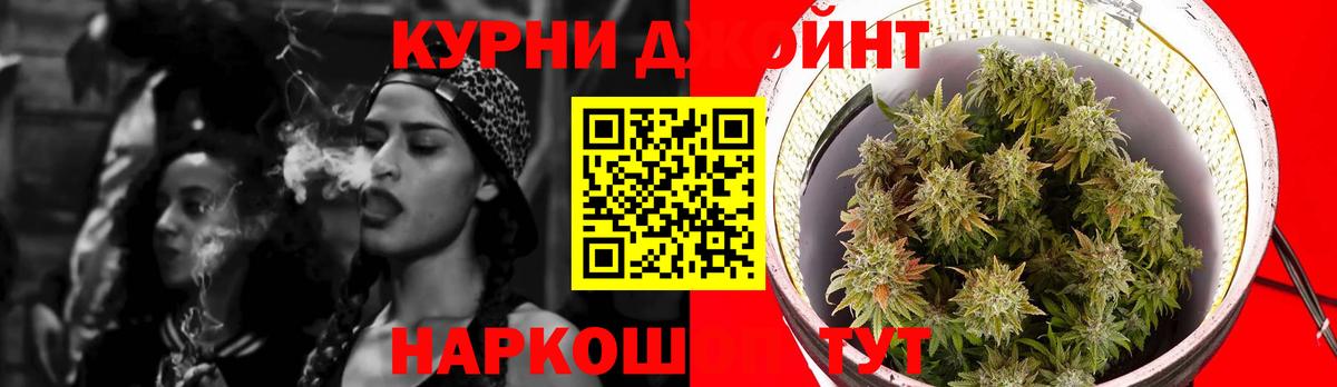 Конопля конопля  Марихуана AK-47  Костомукша  Вход с VPN  Бошки Шишки OG Kush  Каннабис план 